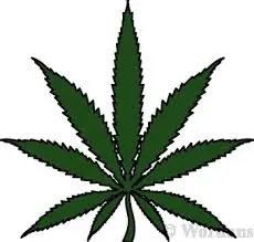 sabias esto de japon?