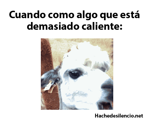 humor en gifs
