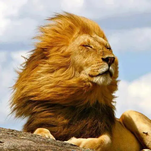 naturaleza