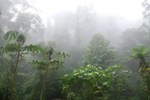 Costa Rica