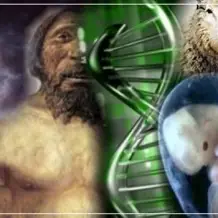 Con Ciencia se Derrumba La Teoria de Darwin.