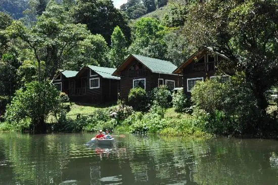bosques
