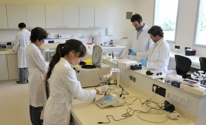 Cristina sin ciencia y tecnologia
