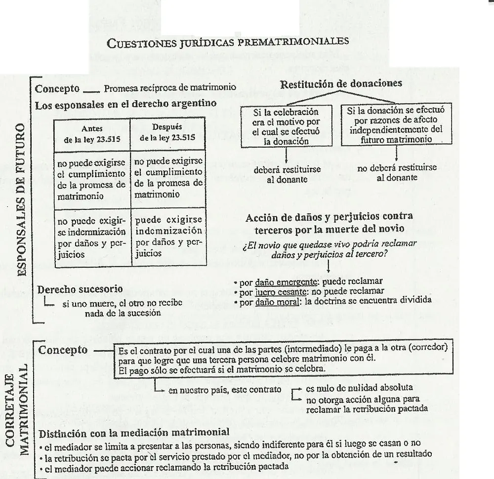 resumen