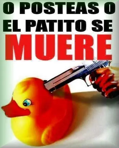 platos