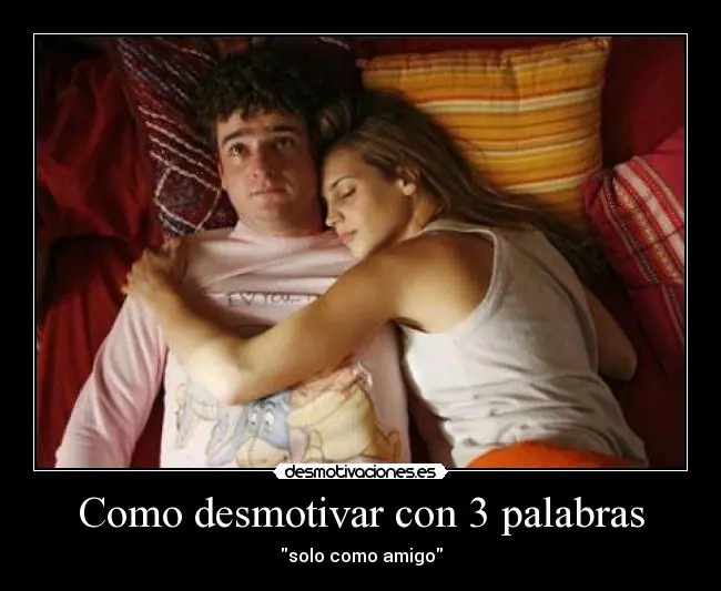 Friendzone - Descripción gráfica
