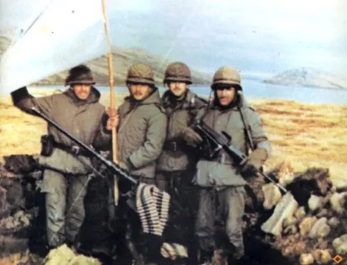 guerra de malvinas