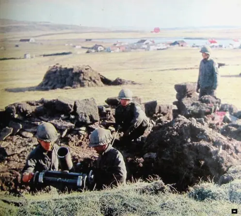 Armas utilizadas por Argentina en las Malvinas