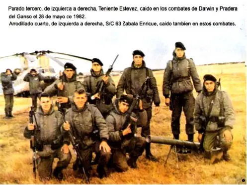 malvinas