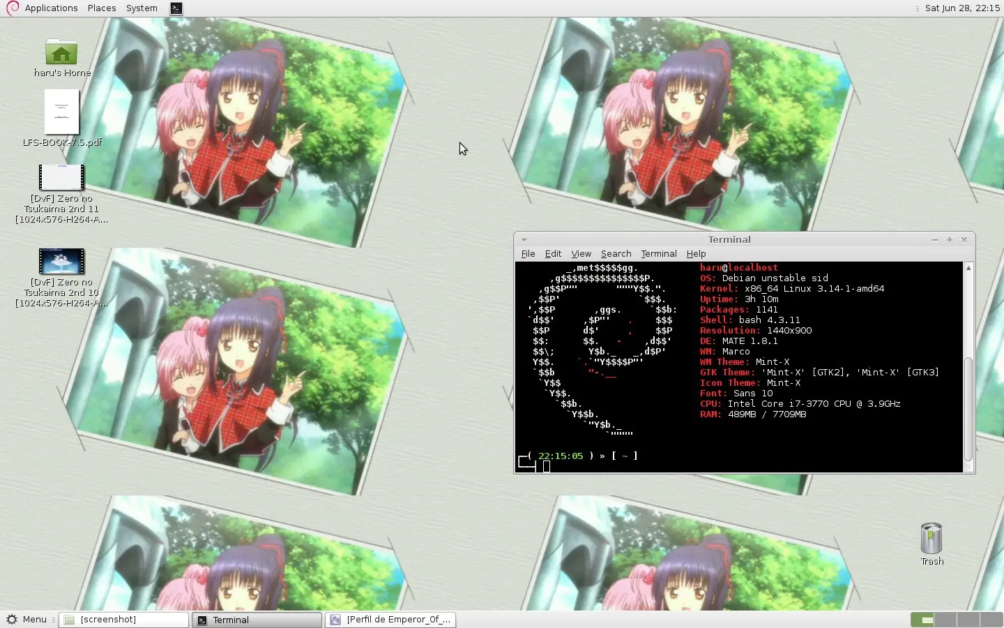 Apariencia de Mint en Debian Sid/Testing