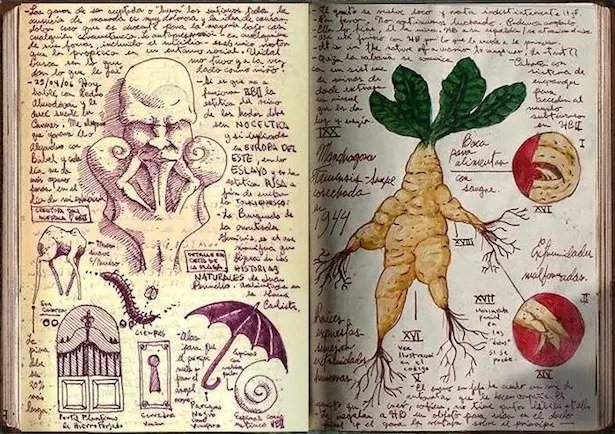 Los cuadernos de notas de Guillermo Del Toro.