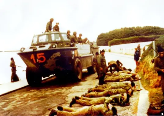 malvinas
