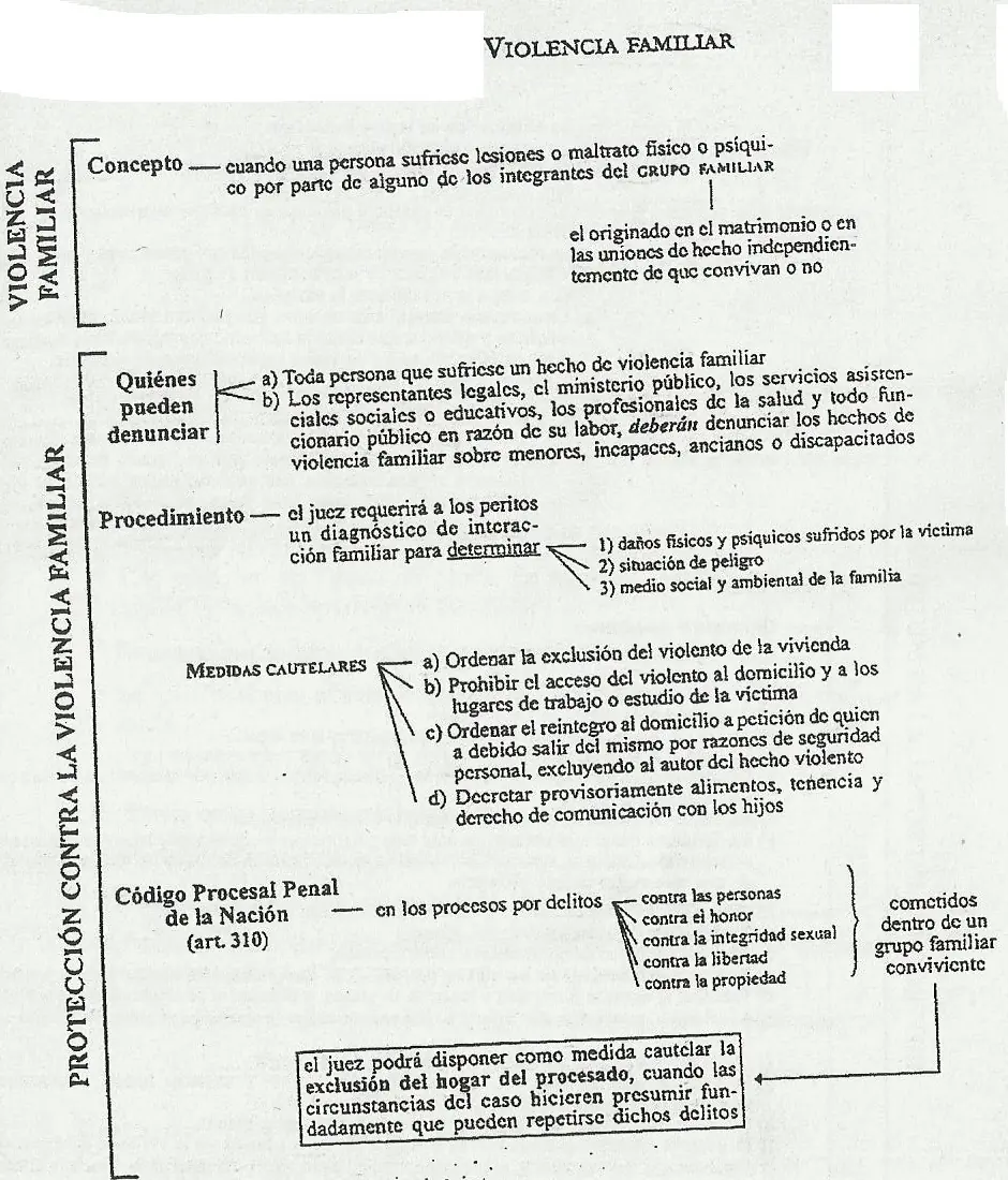 Derecho de familia gráficos resumen