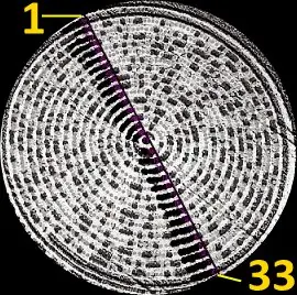 (OVNIS) 10 años del famoso crop circle del Alien y su explic