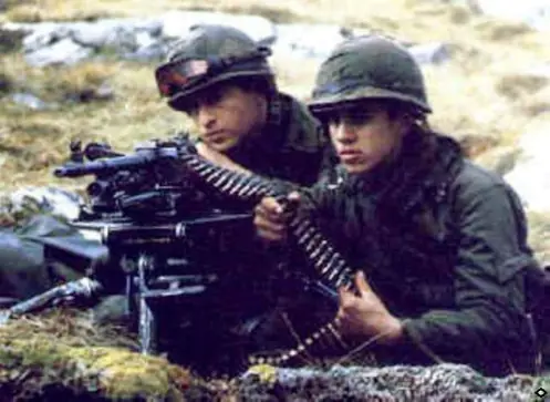 Armas utilizadas por Argentina en las Malvinas
