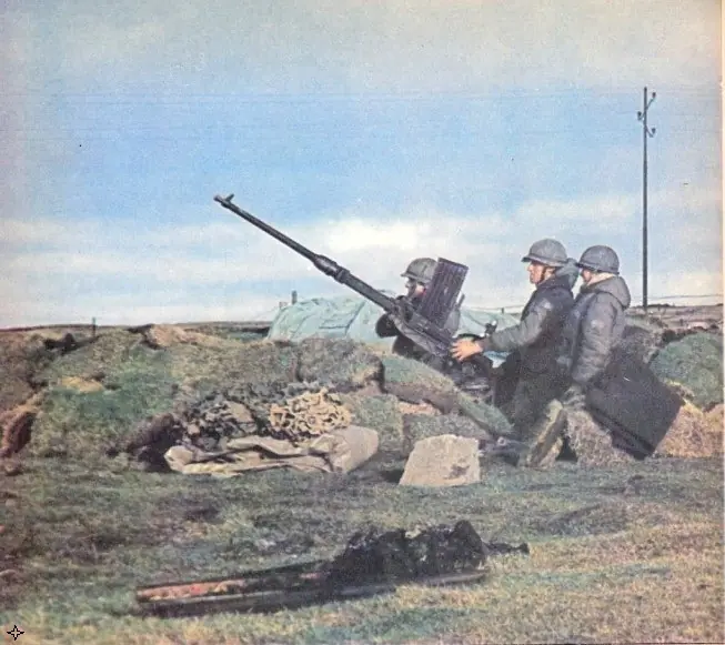 1982