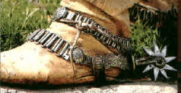 gaucho