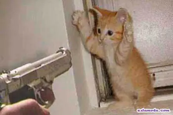 Cosas que las mujeres no debes o no pueden hacer