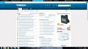 inteligencia colectiva