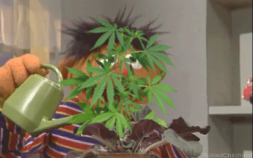 Reite mañana es viernes :D !