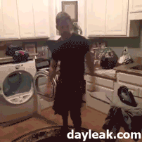 La vida en gifs