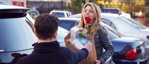 La vida en gifs