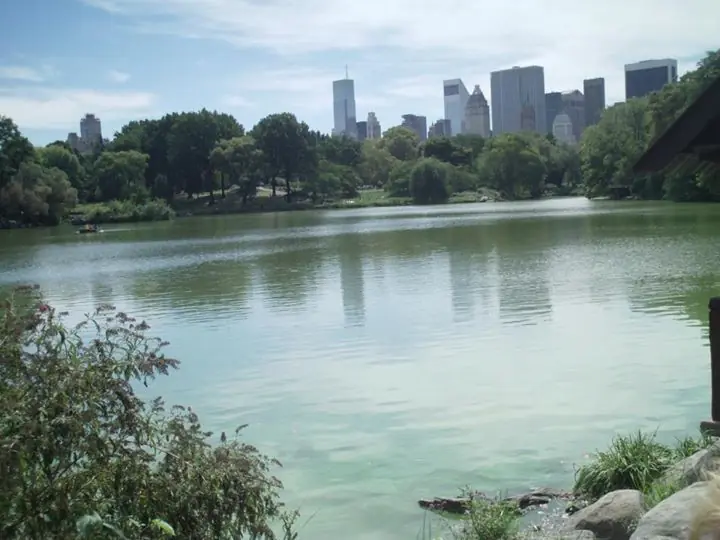 Fui a New York (y te lo muestro)