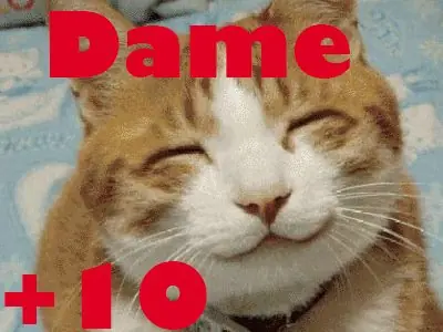 15 Razones por las que los gatos dominarán el mundo.