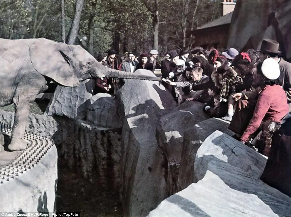 WWII