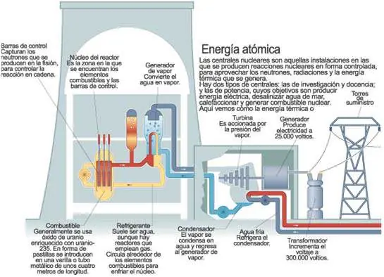Energia nuclear : Funcion y fusion de nucleos