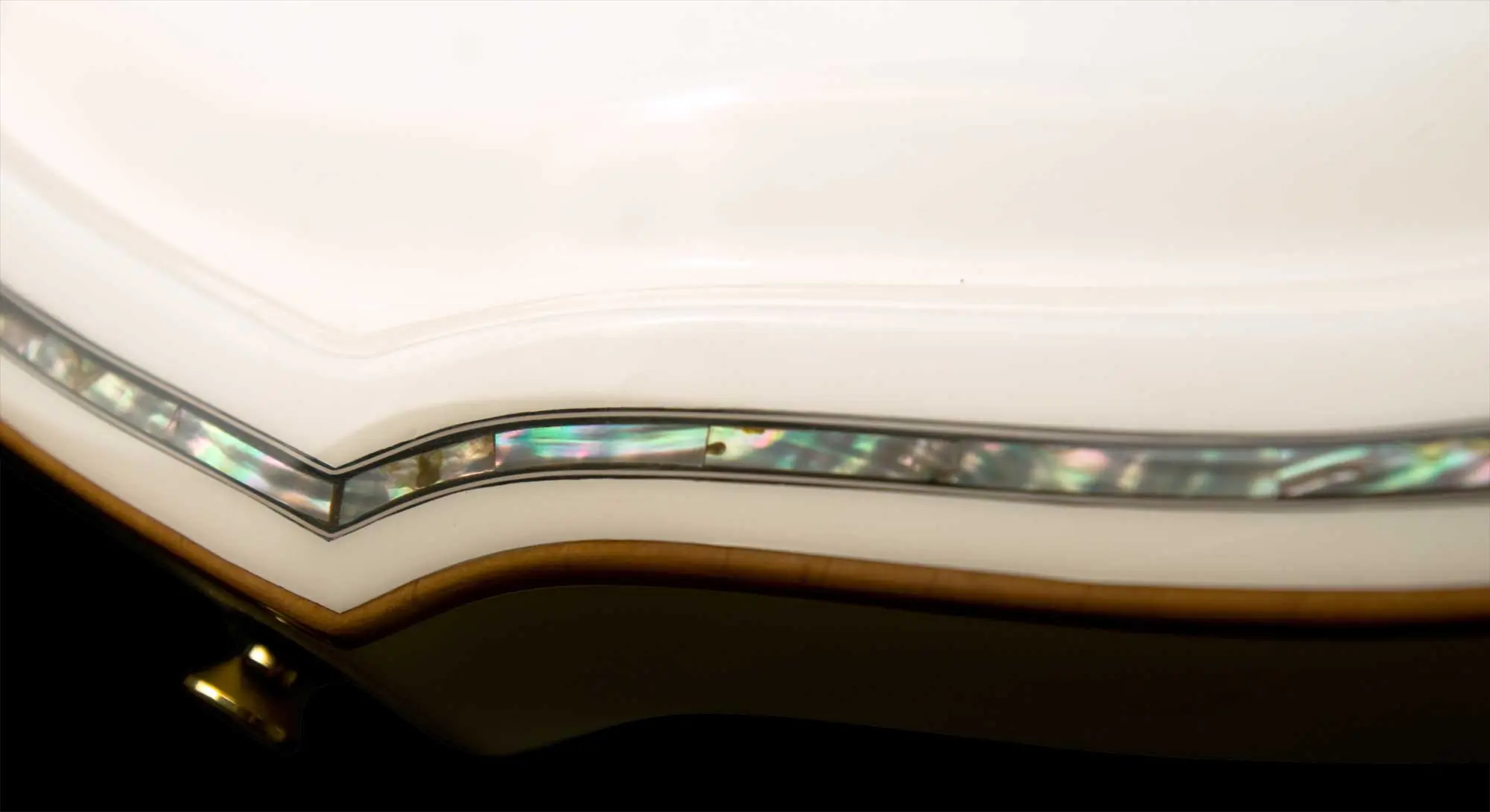 guitarras de lujo todos sus modelos (increíbles)