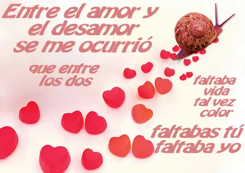 Los Sentimientos (Amor y Desamor)