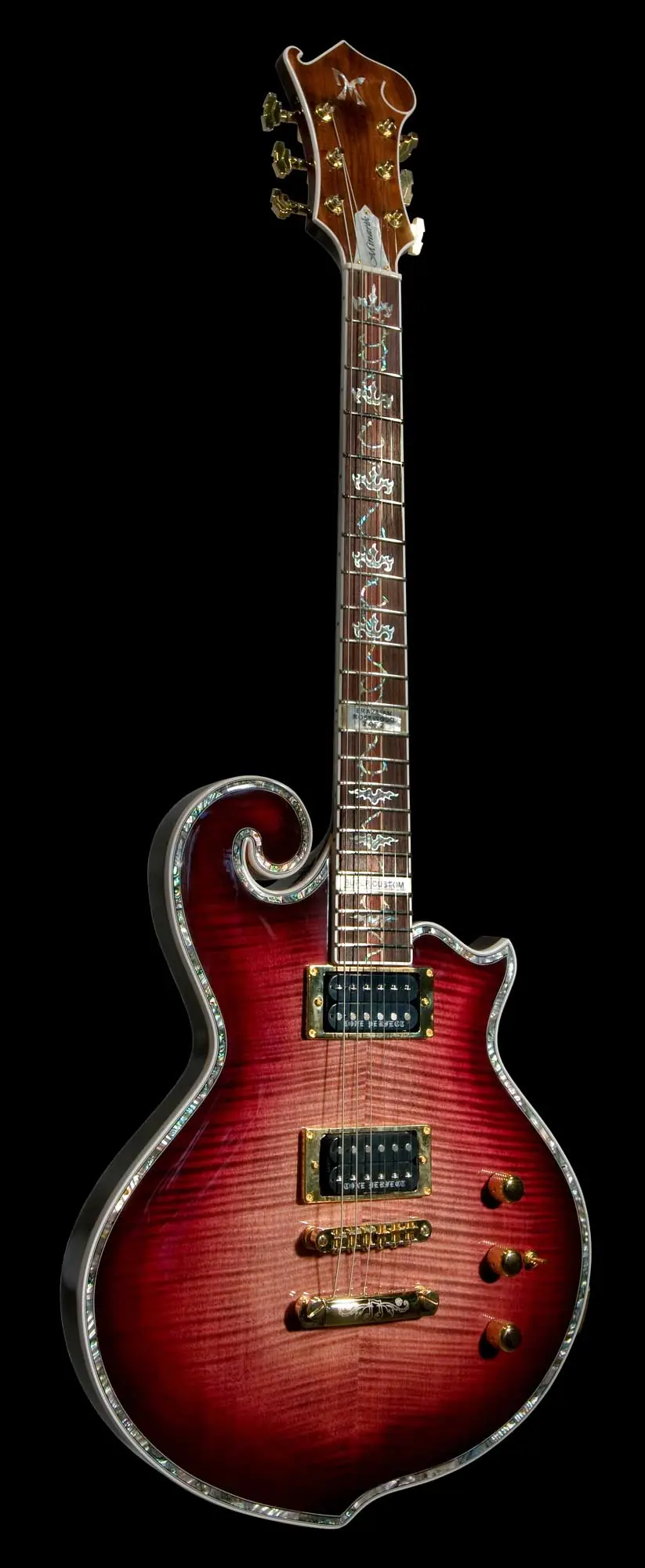 guitarras de lujo todos sus modelos (increíbles)