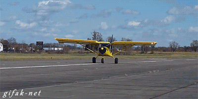 reite con estos gif