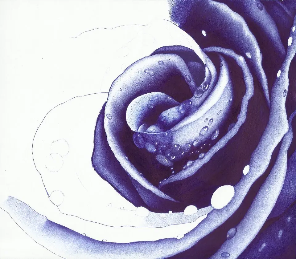 dibujo ashe