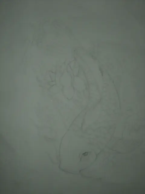 Mis dibujos parte 2