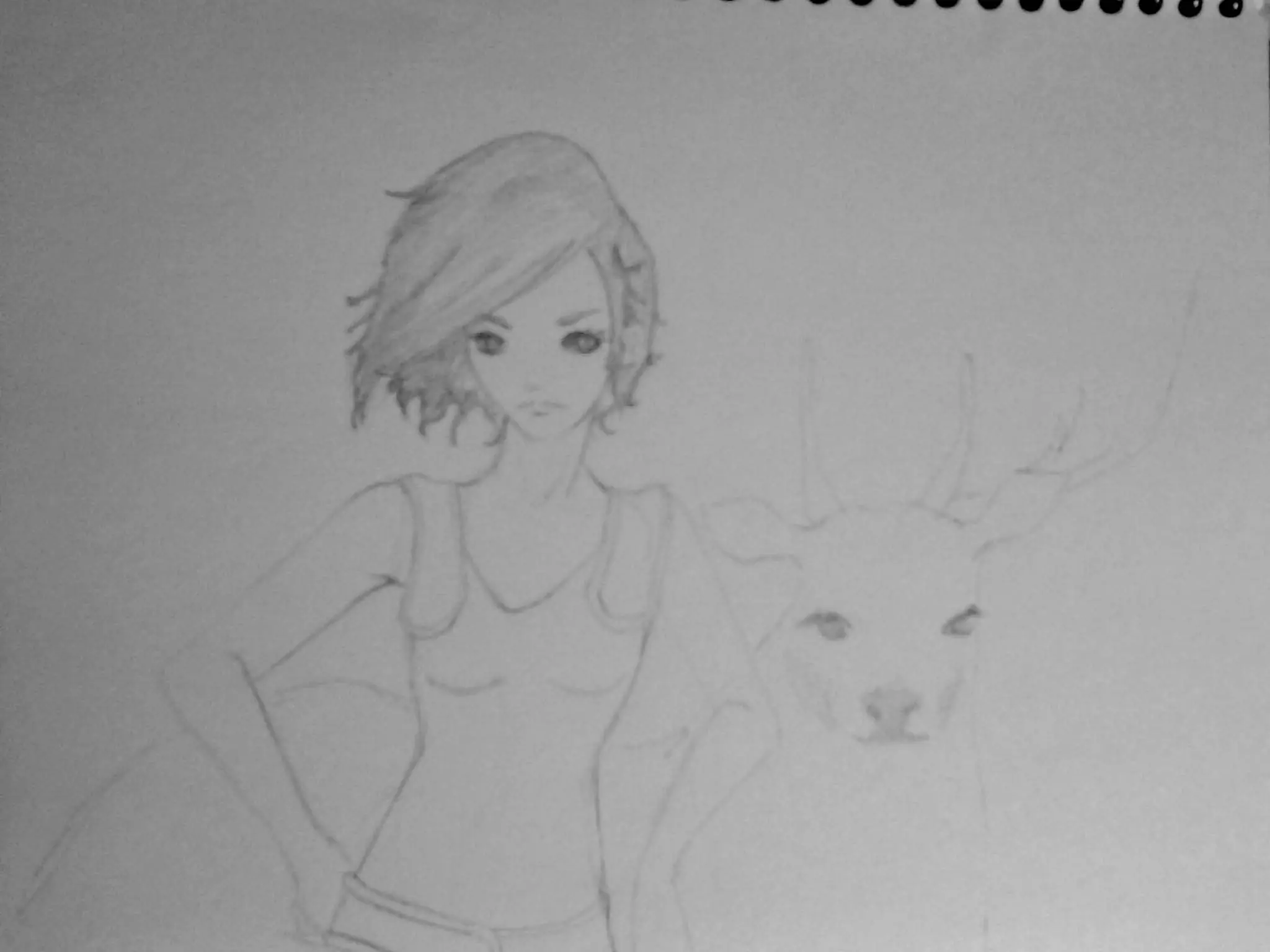 dibujos