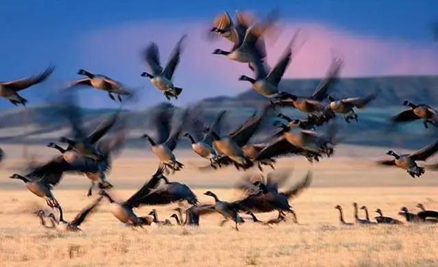 national geographic