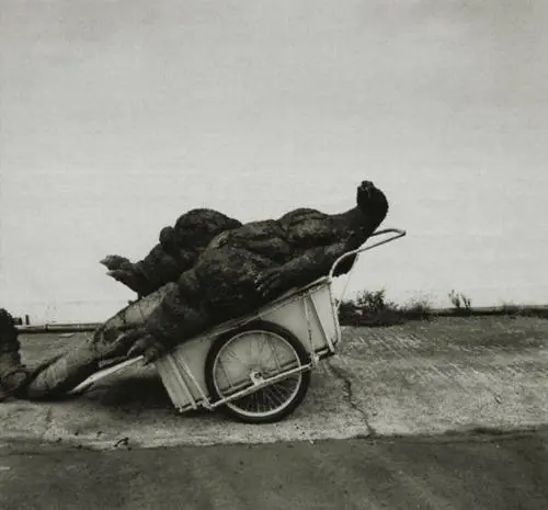Lunes