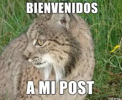 Esperma 'de laboratorio' para salvar al lince ibérico