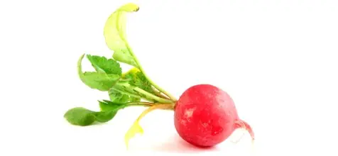 risas