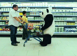 imagenes