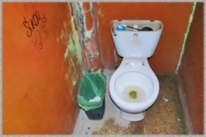 xq los hombres somos  felices ?(entra y enterate)