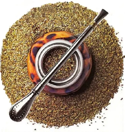 Como curar un mate