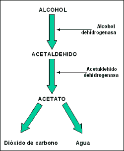 alcohol