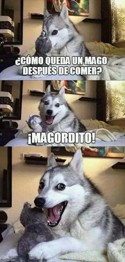 imagenes