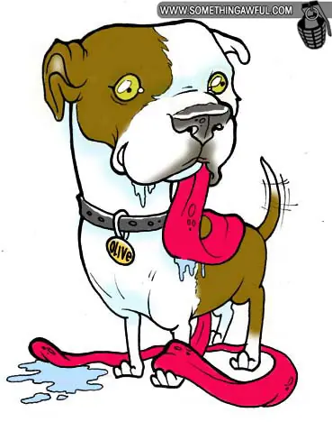 Retratos del animal doméstico!