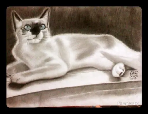 suraart