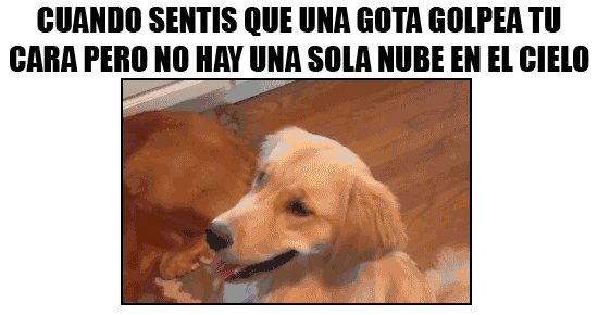 humor