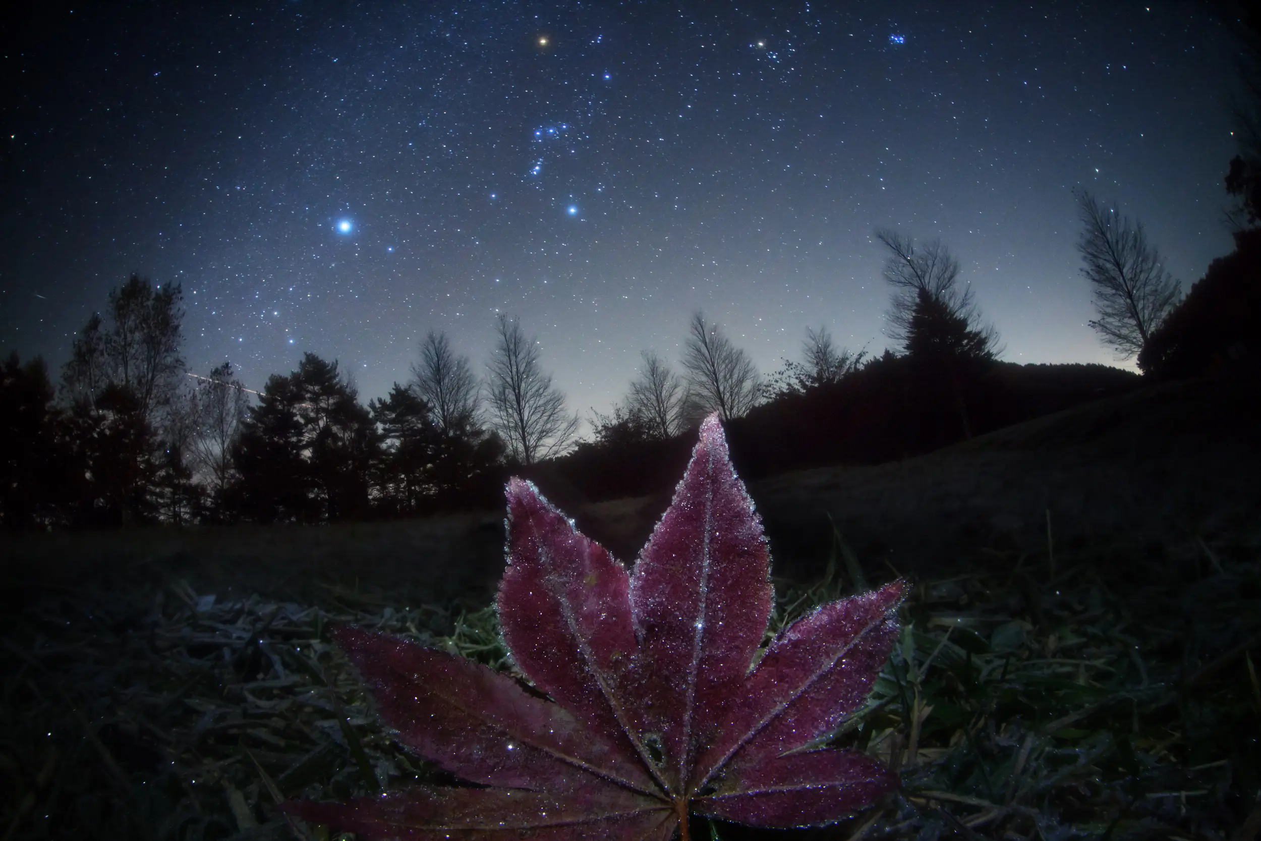 Cinturon de Orion
